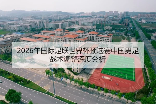 2026年国际足联世界杯预选赛中国男足战术调整深度分析