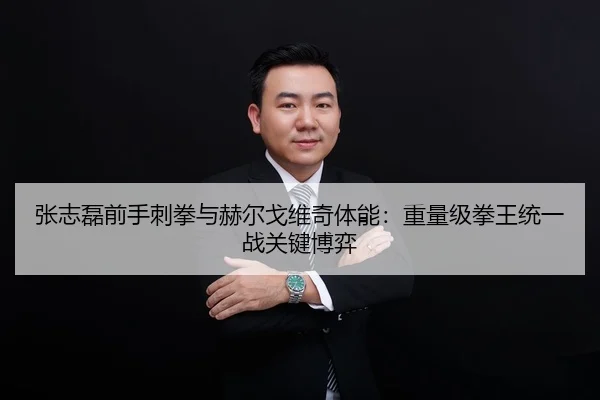 张志磊前手刺拳与赫尔戈维奇体能：重量级拳王统一战关键博弈