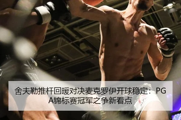 舍夫勒推杆回暖对决麦克罗伊开球稳定：PGA锦标赛冠军之争新看点