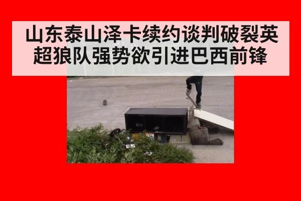 山东泰山泽卡续约谈判破裂英超狼队强势欲引进巴西前锋