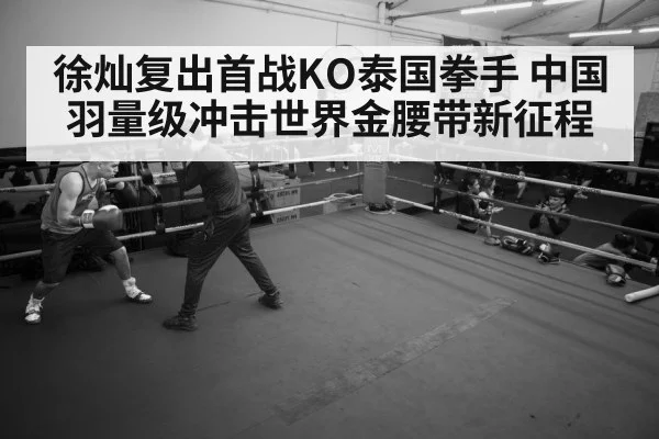 徐灿复出首战KO泰国拳手 中国羽量级冲击世界金腰带新征程